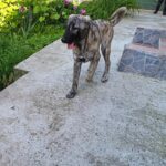 Fb img 1751178551472