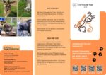 Flyer din lang.pdf.pdf