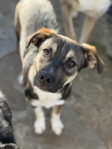 Messenger creation 7a1dd5e3 b476 4277 ac74 741ecebec839