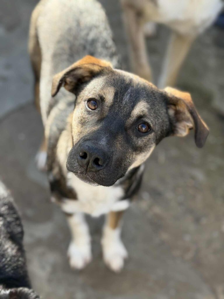 Messenger creation 7a1dd5e3 b476 4277 ac74 741ecebec839