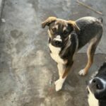 Messenger creation 7dcc0fa3 4e14 474f b71f 05e3dd8ec9a0