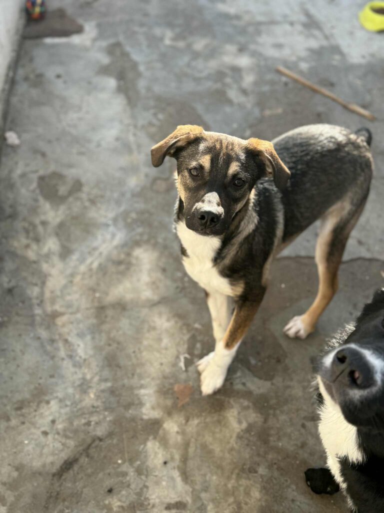 Messenger creation 7dcc0fa3 4e14 474f b71f 05e3dd8ec9a0