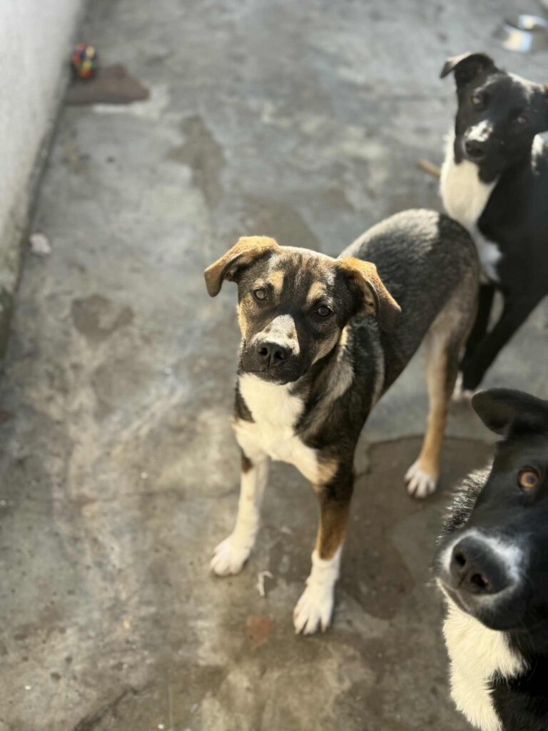 Messenger creation 8496a00b 11f7 4e1d 942a d397186085eb