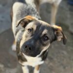 Messenger creation b6699b27 71c7 499c 9ee8 28c19ddf4179