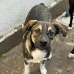 Messenger creation c2dc3057 cfc3 4df8 85de 1c6a5a29dfad