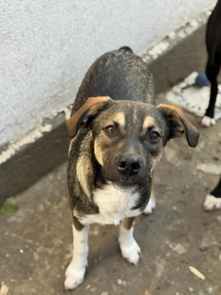 Messenger creation c2dc3057 cfc3 4df8 85de 1c6a5a29dfad