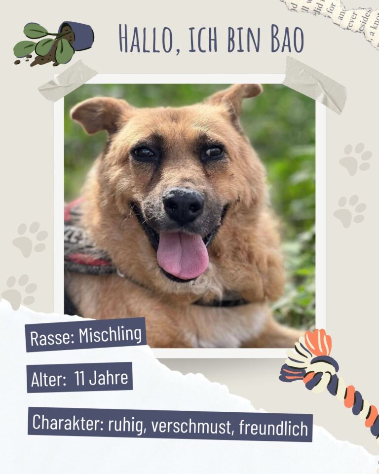 0689e6c8 9bb0 4f2f 8b35 8a49a585dfc1