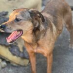 Fb img 1758262885423