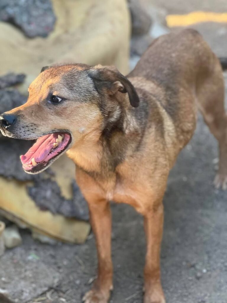 Fb img 1758262885423