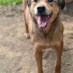 Fb img 1758262958606