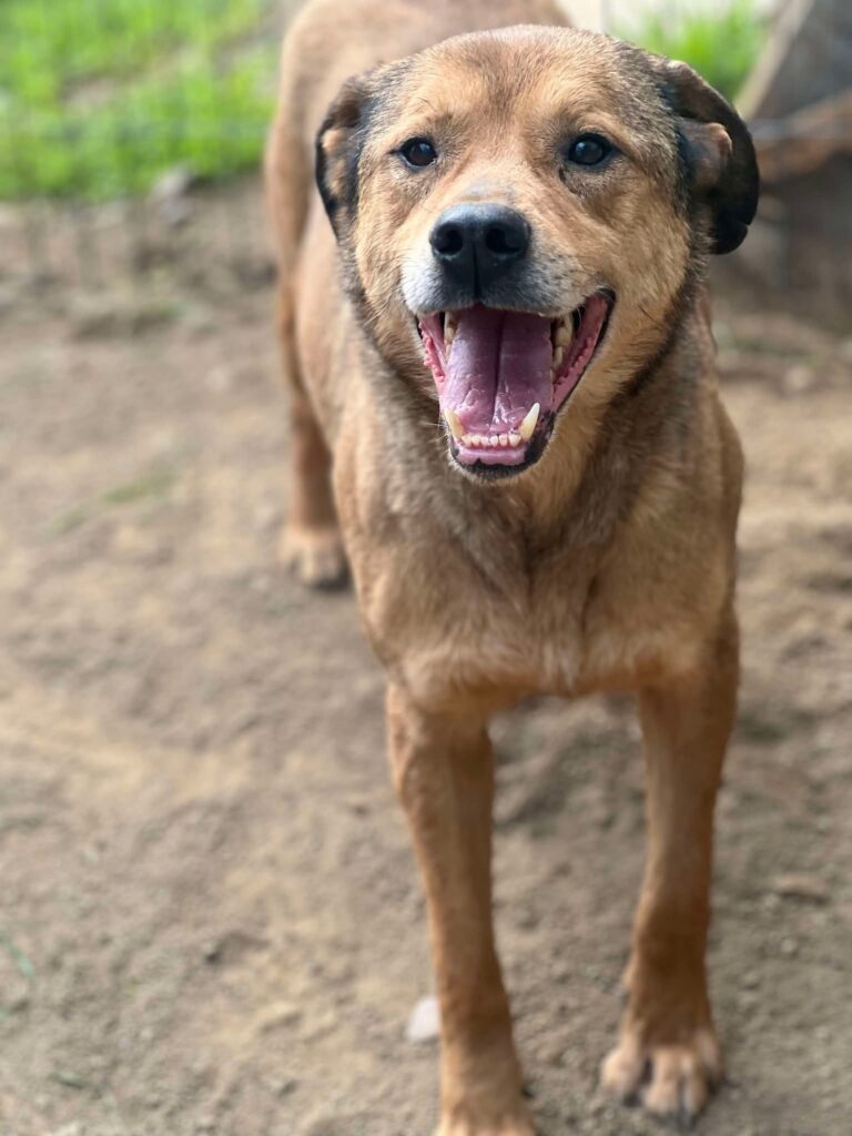 Fb img 1758262958606