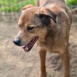 Fb img 1758262962244