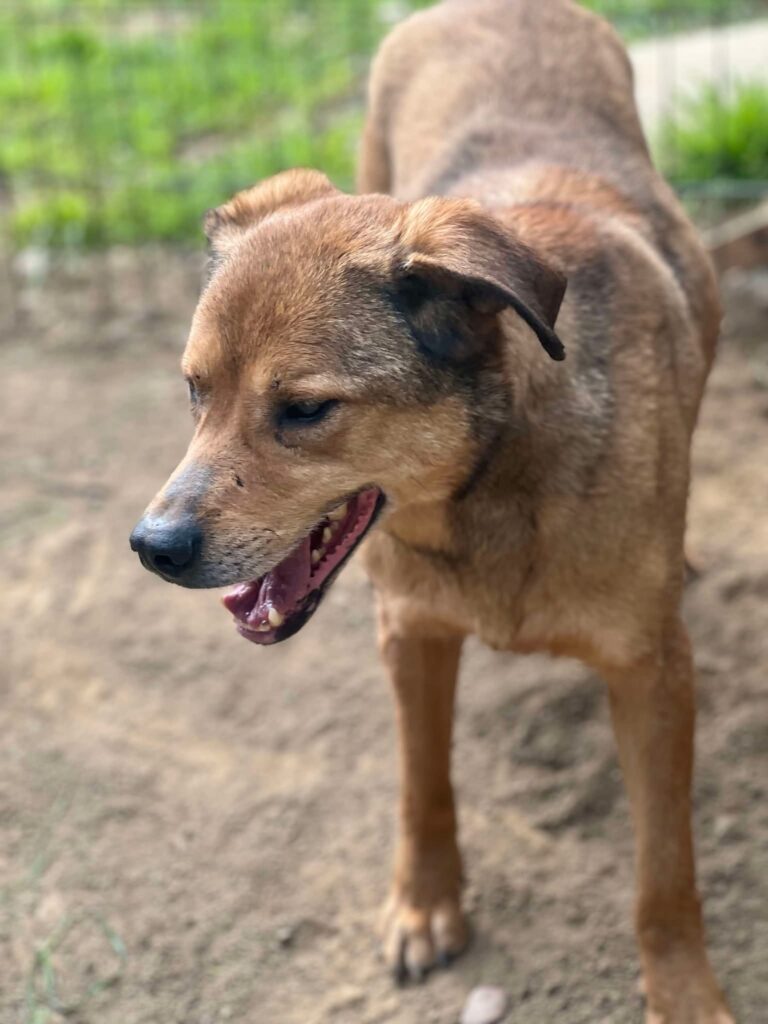 Fb img 1758262962244