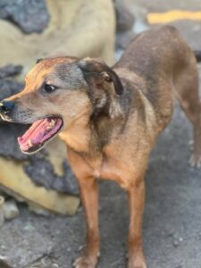 Fb img 1758262977156