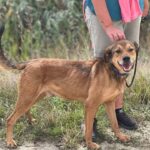 Fb img 1758262983327