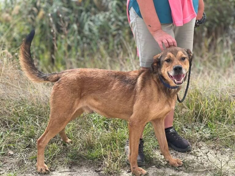 Fb img 1758262983327