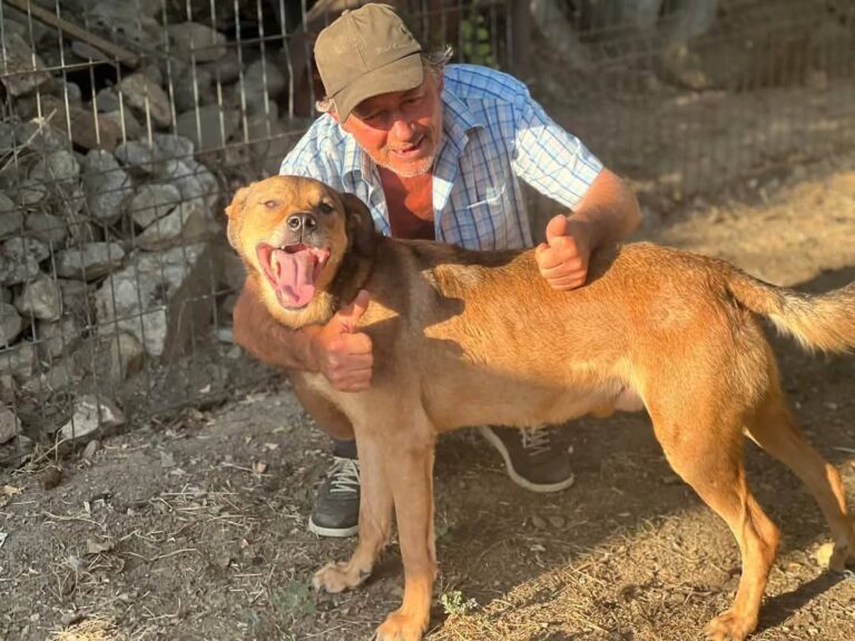 Fb img 1758262993153