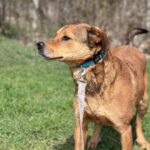 Fb img 1758262998529