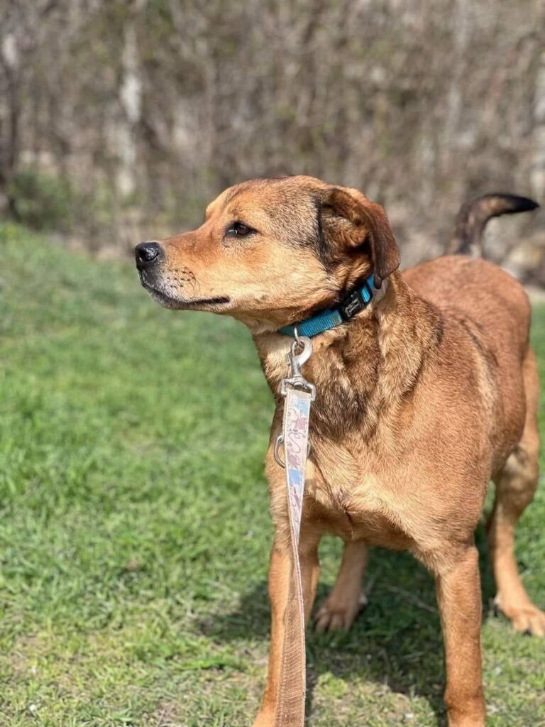 Fb img 1758262998529