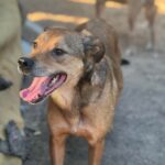 Fb img 1758263003162