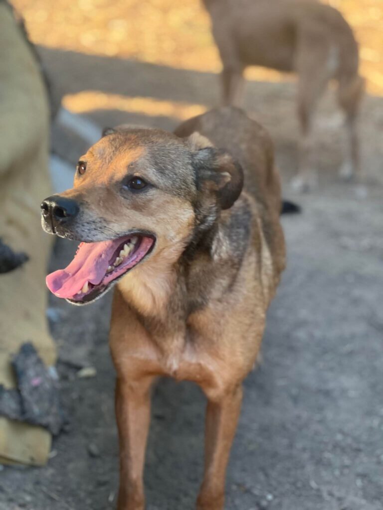 Fb img 1758263003162