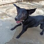 Fb img 1758270983784