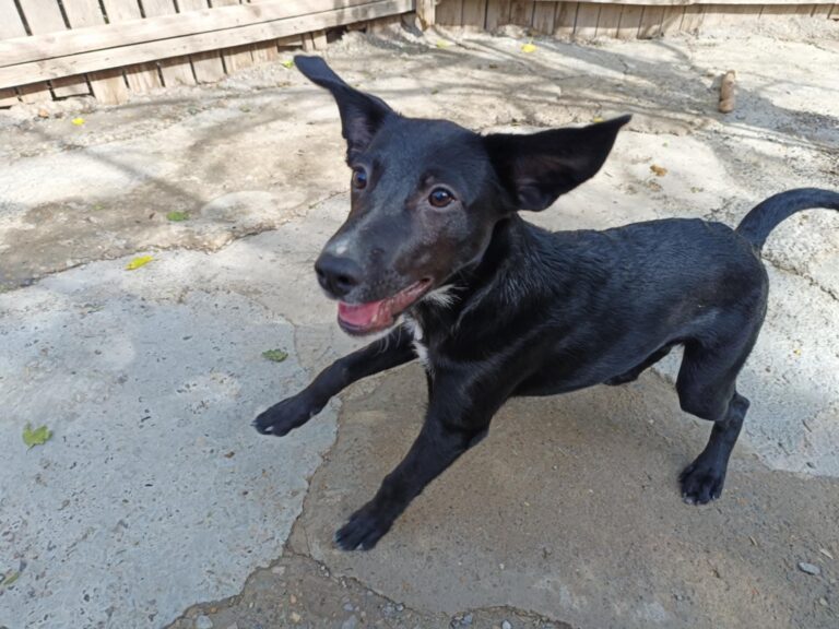 Fb img 1758270983784