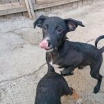 Fb img 1758270986161