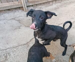 Fb img 1758270986161