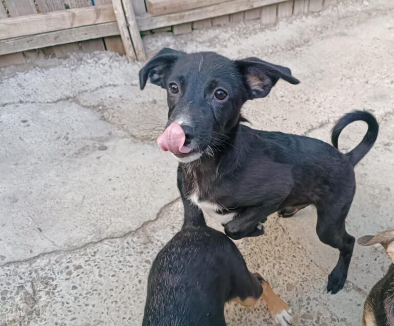 Fb img 1758270986161