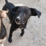 Fb img 1758270988725