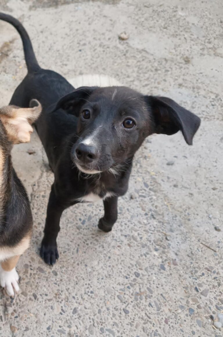 Fb img 1758270988725