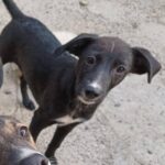 Fb img 1758270991074