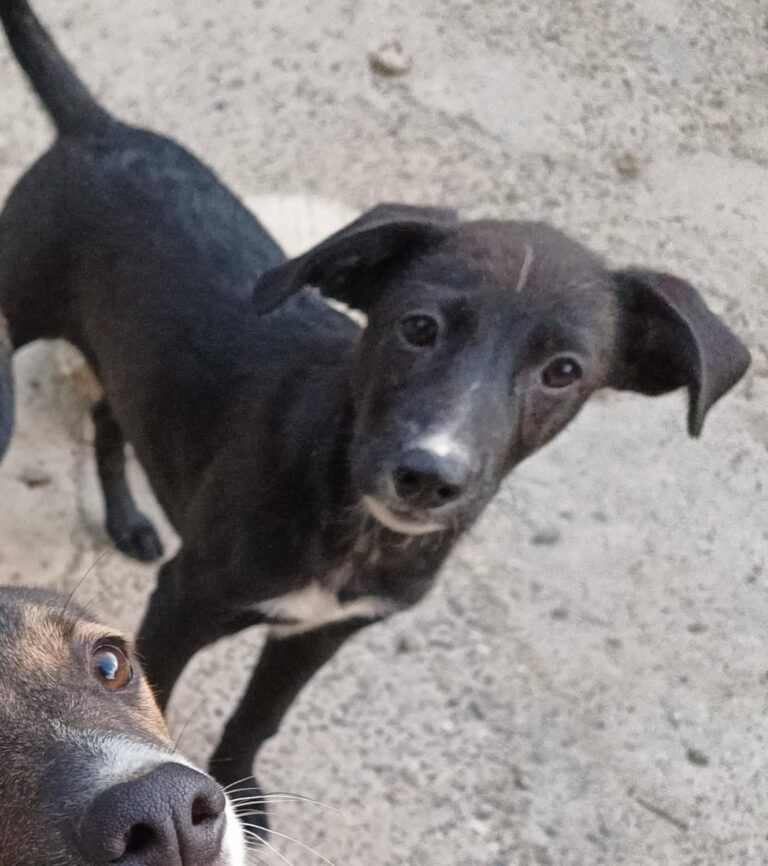 Fb img 1758270991074