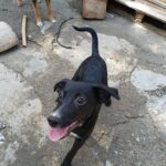 Fb img 1758270993982