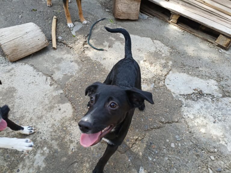 Fb img 1758270993982