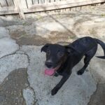 Fb img 1758270997266