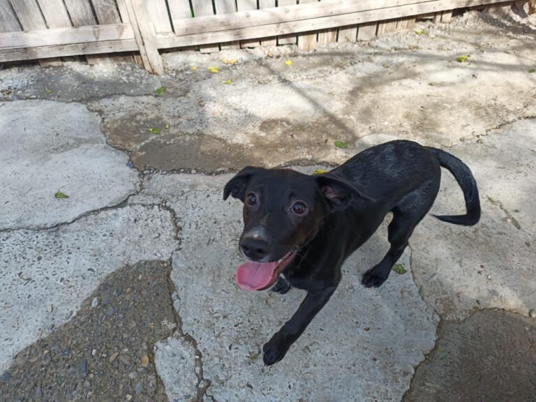 Fb img 1758270997266