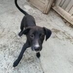 Fb img 1758271001930