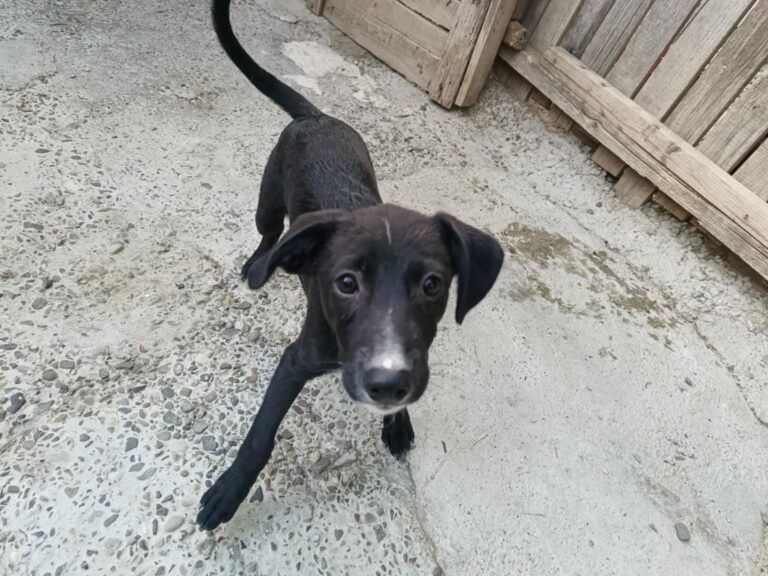 Fb img 1758271001930