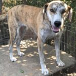 Fb img 1758350540818