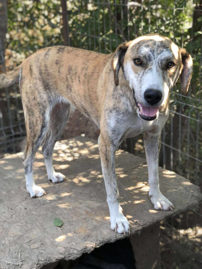 Fb img 1758350540818