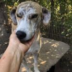 Fb img 1758350544561