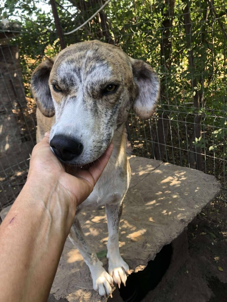 Fb img 1758350544561