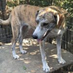 Fb img 1758350546818