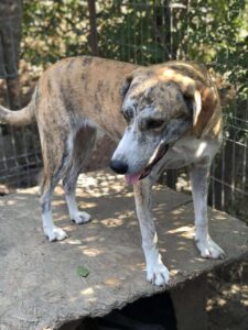 Fb img 1758350546818