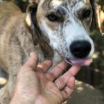 Fb img 1758350549113