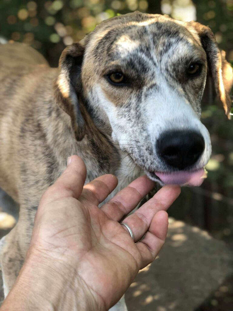 Fb img 1758350549113