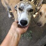 Fb img 1758350551243