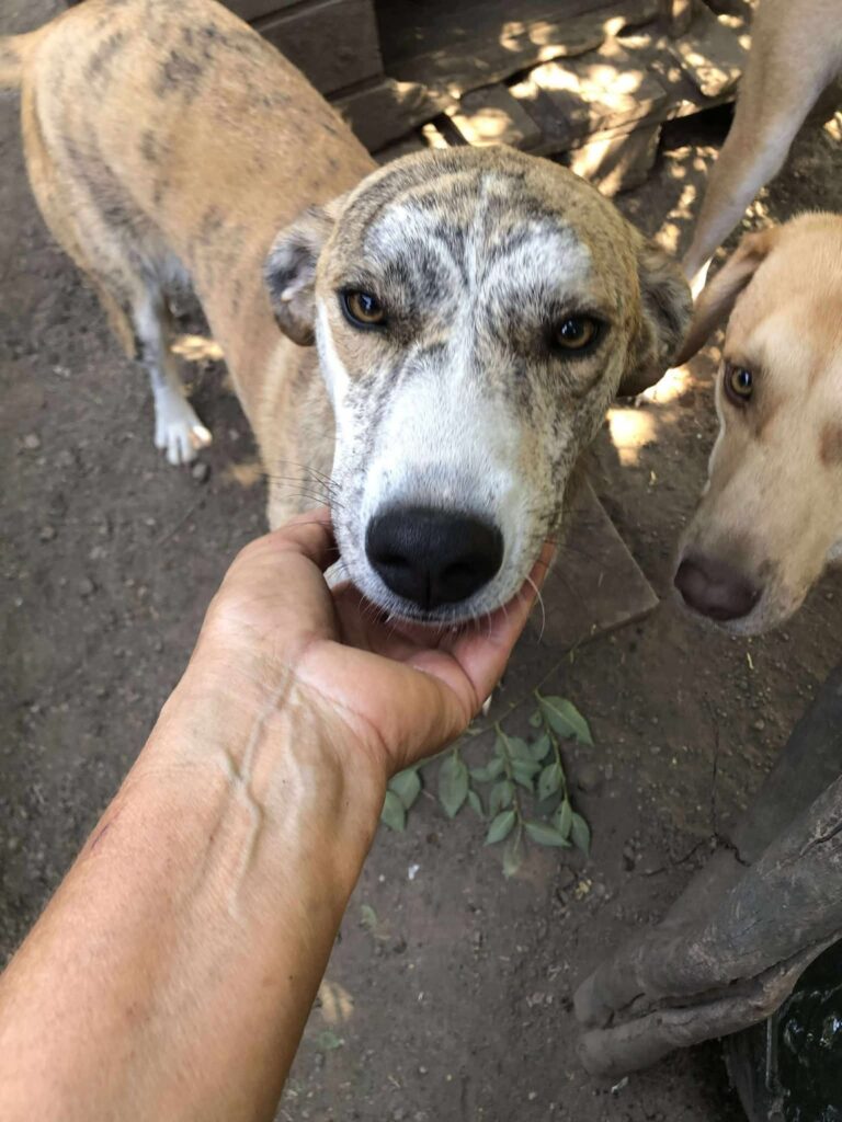 Fb img 1758350551243